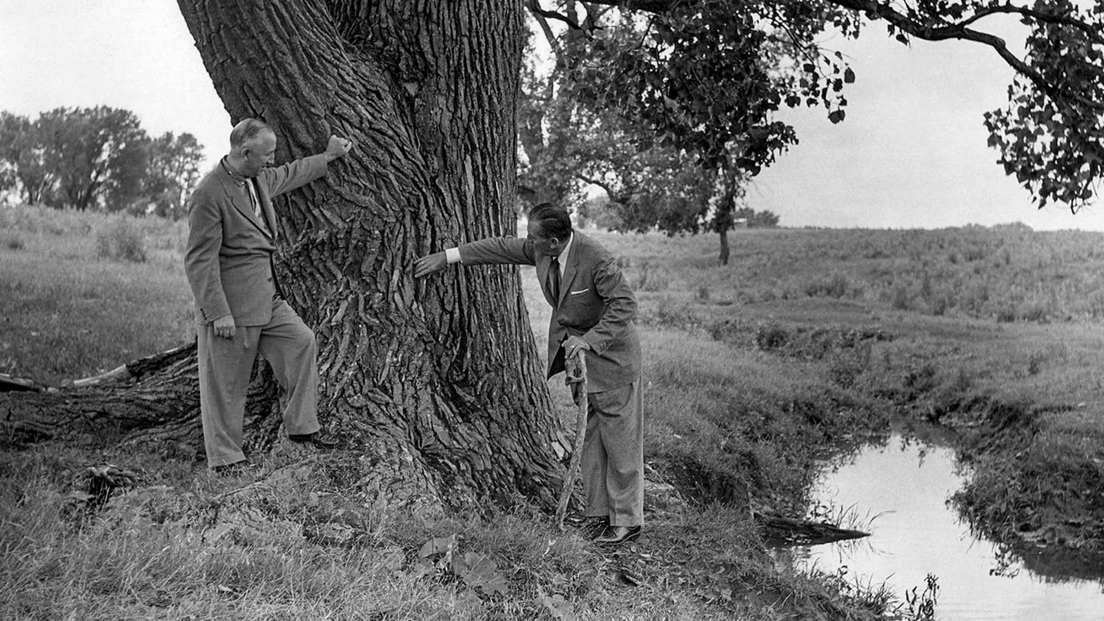 Roy and Walt at the Dreaming Tree | VisitMarceline.com